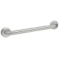 Bathroom Grab Rail Stainless Steel