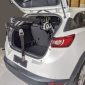 Foldable Wheelchair Boot Hoist with Remote Control