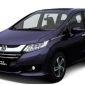 Automatic Tailgate Lift and Electric Car Door Opener-4