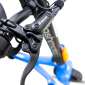 C.png