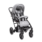 hippo.png