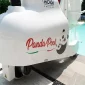 PandaPool-9.webp