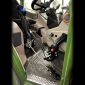 pushpull-easy-drive-1.jpeg