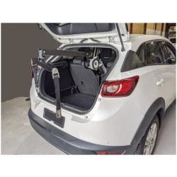 Remote Controlling Boot Hoist LIFTER Wheelchair