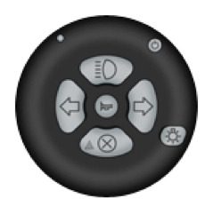 Steering Controls for Disability Driving Solutions-Lodgesons