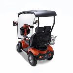 2-Seater Electric Mobility Scooter Backview