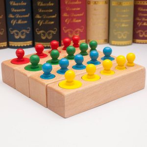 Premium Wood Montessori Toys for Kid