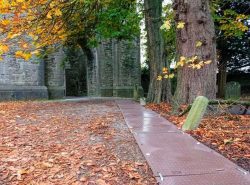 Access Deck In Park
