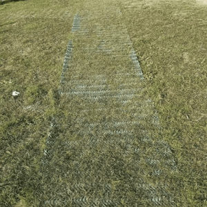 GrassMat GrassMat an Accessibility Mat for Lawn
