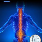 Comfort Waist Cushion – Lumbar Cushion For Comfortable Support Fixed Pressure Protection