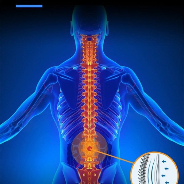 Comfort Waist Cushion – Lumbar Cushion For Comfortable Support Fixed Pressure Protection Comfort Waist Cushion – Lumbar Cushion For Comfortable Support Fixed Pressure Protection