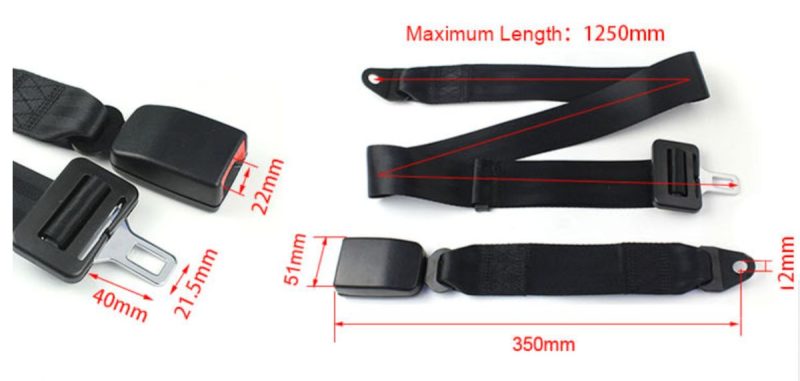 Seat Belt By Far Europe Product Size